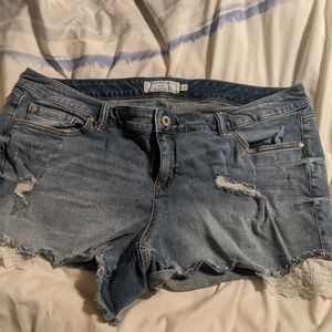 Torrid blue jean brand new shorts